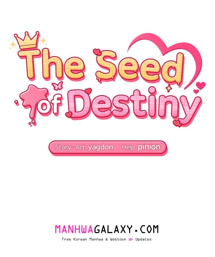 The Seed of Destiny - Chapter 3 Page 16