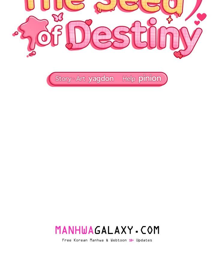The Seed of Destiny - Chapter 4 Page 15